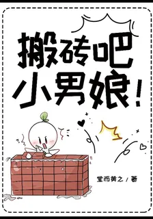 搬磚吧，小男娘！ 封面
