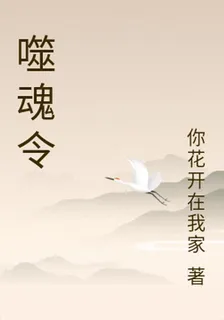 噬魂令 封面