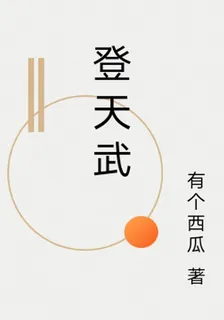 登天武 封面