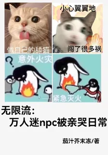 無限流：萬人迷npc被親哭日常 封面