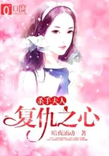 殺手夫人：復仇之心 封面
