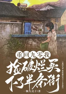 重回九零，我撿破爛買下了半條街 封面