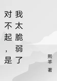 對不起，是我太脆弱了 封面