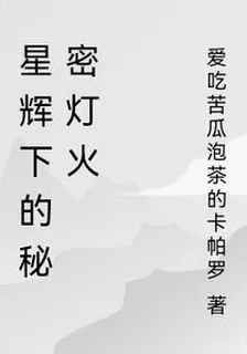 星輝下的祕密燈火 封面