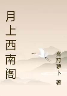 月上西南閣 封面