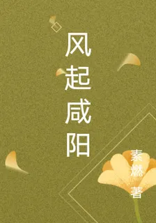 風起咸陽 封面