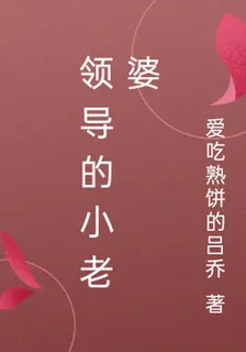 領導的小老婆 封面
