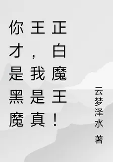 你纔是黑魔王，我是真正白魔王！ 封面