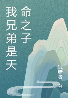 我兄弟是天命之子 封面