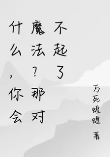 什麼，你會魔法？那對不起了 封面