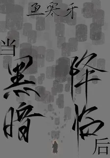 當黑暗降臨後 封面