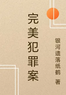 完美犯罪案 封面