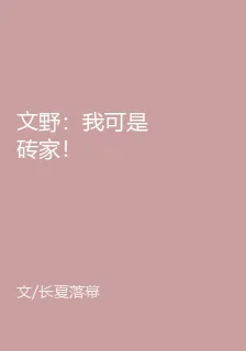 文野：我可是磚家！ 封面