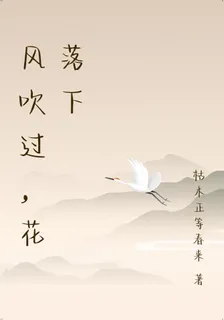 風吹過，花落下 封面