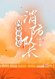 閃婚對象是消防隊長 封面