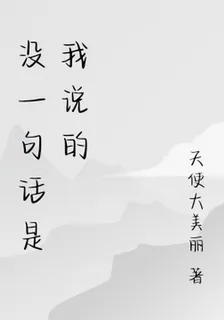 沒一句話是我說的 封面