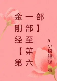 金剛經【第一部至第六部】 封面