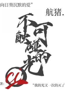 不可觸碰的光 封面