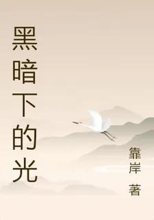 黑暗下的光 封面