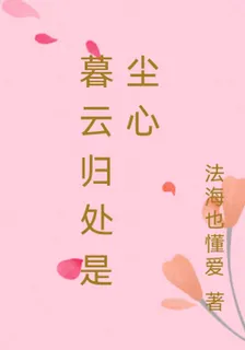 暮雲歸處是塵心 封面