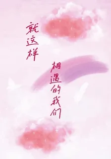 就這樣相遇的我們 封面