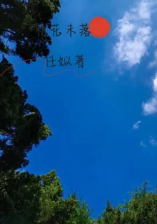 秋花未落 封面