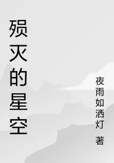 殞滅的星空 封面