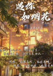遇你如煙花 封面