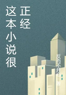 這本小說很正經 封面