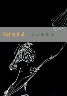 名柯：酒陣凌星辰 封面