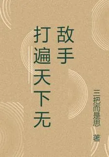 打遍天下無敵手 封面
