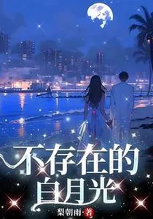 不存在的白月光 封面