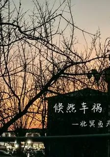 倏然車禍 封面