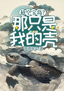 懸空寶島？那只是我的殼 封面