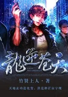 龍逆蒼天 封面