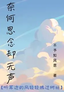 奈何思念卻無聲 封面