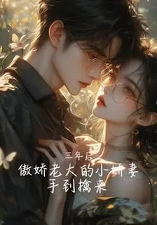 顧總我錯了 封面