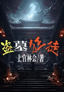 盜墓狂徒 封面