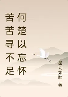 憶以憾 封面
