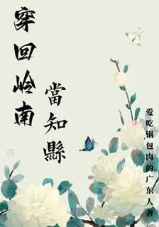 穿回嶺南當知縣 封面