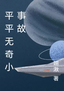 平平無奇小事故 封面