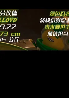 幻影忍者：俢復漏洞 封面