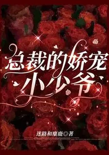總裁的嬌寵小少爺 封面
