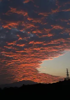 邊境牧羊人 封面