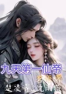 九天第一仙帝 封面