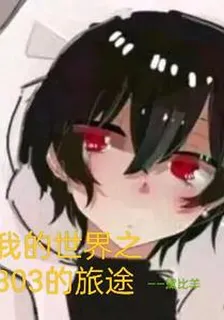 我的世界之303的旅途 封面