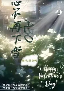 心不再下雪ABO 封面