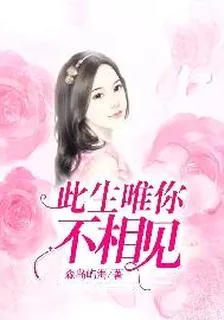 此生唯你不相見 封面