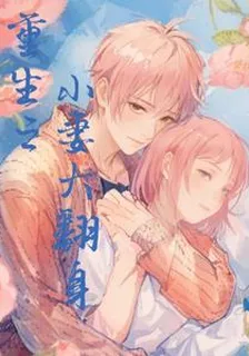 重生之小妻大翻身 封面
