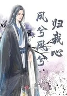 鳳兮鳳兮歸我心 封面